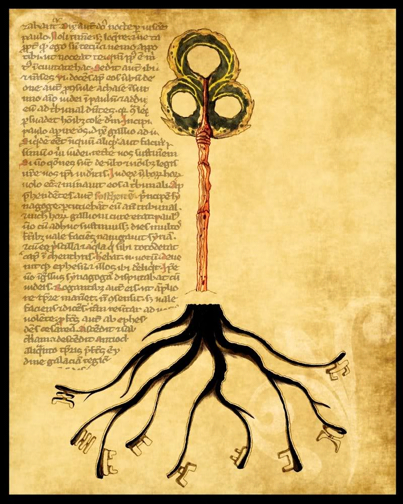 raskovnik. trecadimenzija