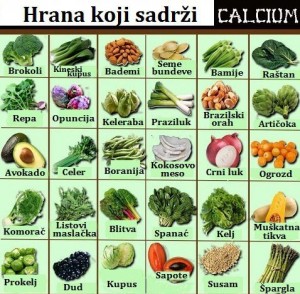 hrana koja sadrzi