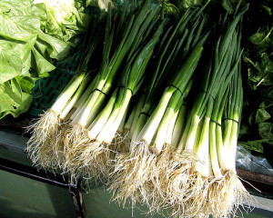 mladi luk - radio treca dimenzija