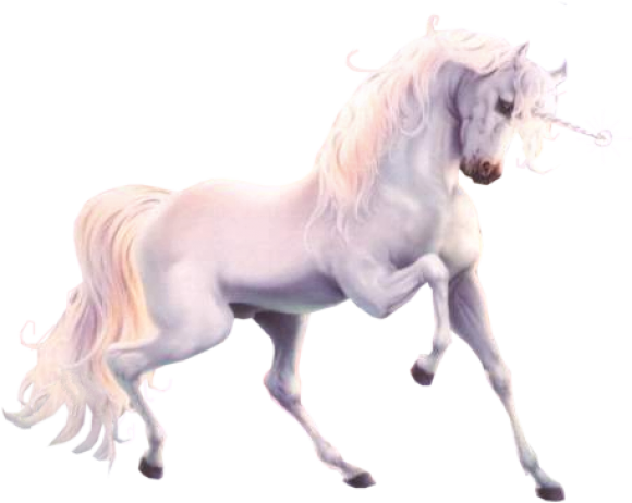 Ado-UnicornJednorog_ivotinje_full_21_108616