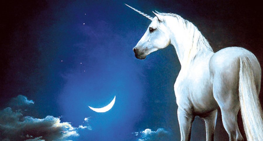 jednorog-mitsko-bice-1354491043-236525