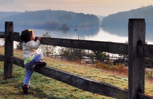 tumblr_n6j1zkVt0F1rxod7ho1_500