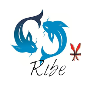 ribe