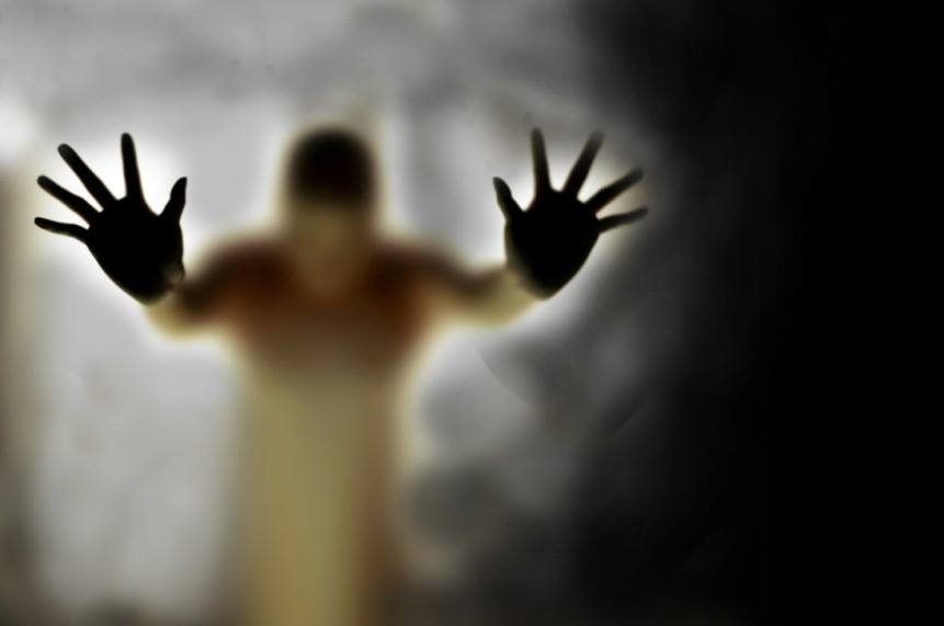 11822718_1003060843078494_7483848282345573370_n