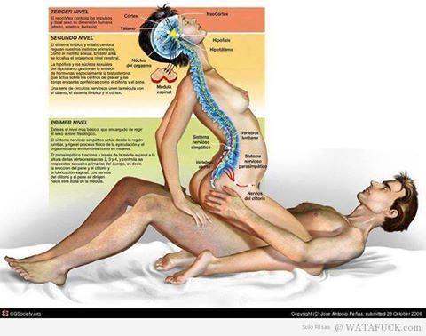 sex