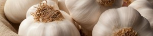 prirodni antibiotik za lijecenje virusa i gripe brzo i efektivno bijeli luk