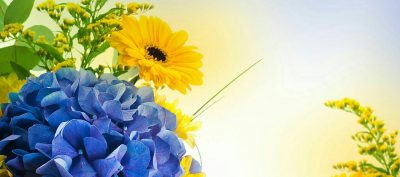 horoskop za avgust 2016