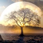 Ponedjeljak – Dan Mjeseca