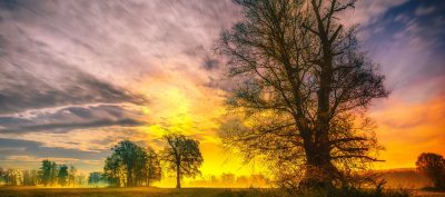 O specifičnim kretanjima i aspektima Marsa u Vodoliji