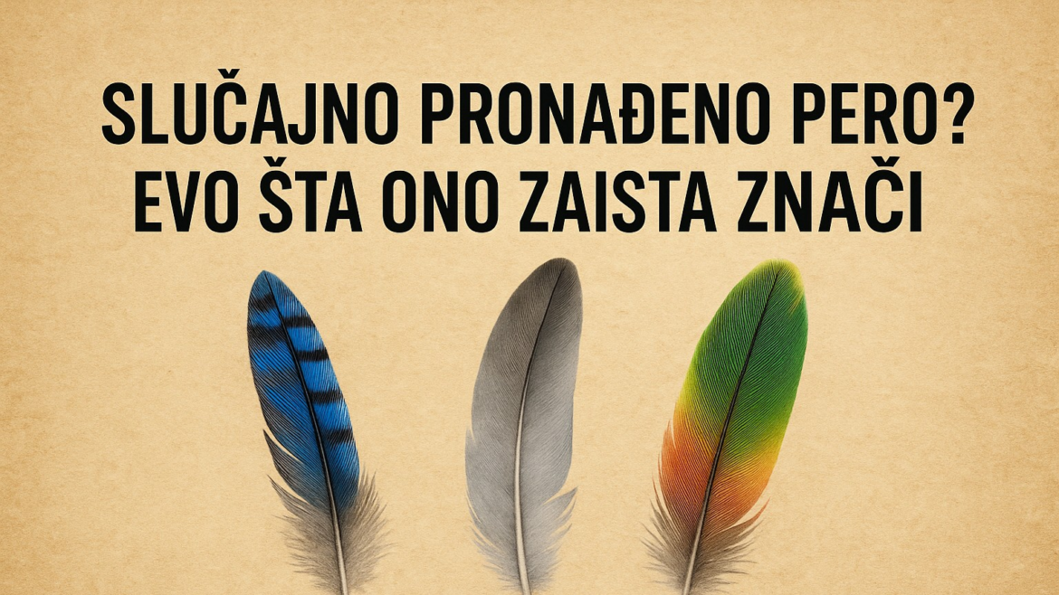 Šta Znači Pero Koje Ste Pronašli
