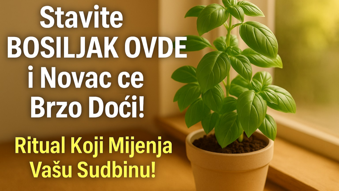 RITUAL SA BOSILJKOM: TAJNI KLJUČ ZA OTVARANJE FINANSIJSKIH PUTEVA I POZIVANJE OBILJA U VAŠ DOM
