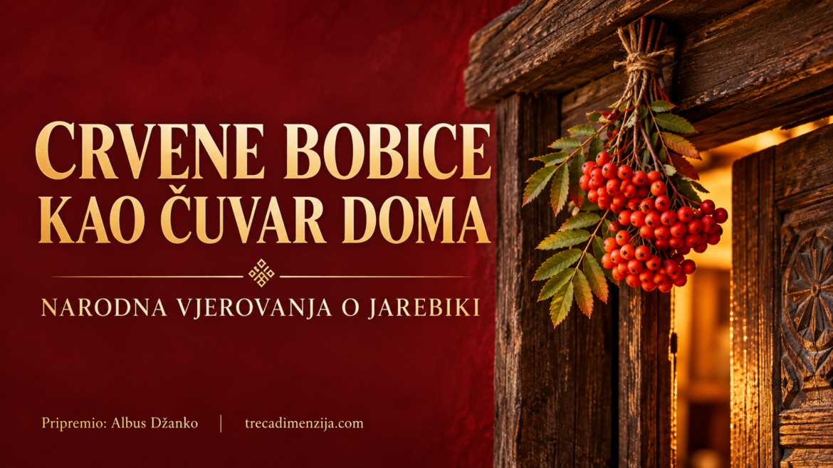 jarebika-crvene-bobice-cuvar-doma